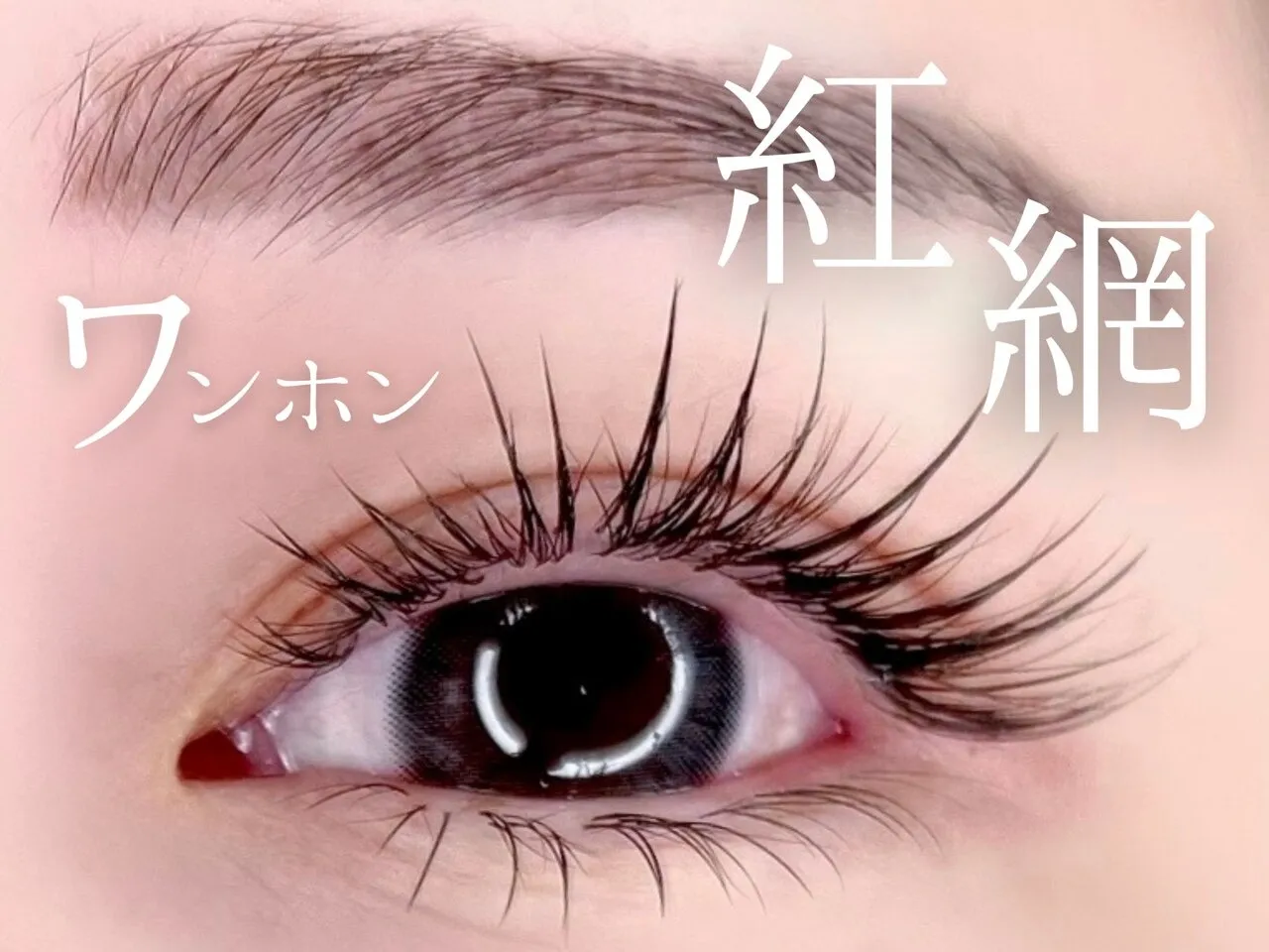 マツエク|紅網 (ワンホン)